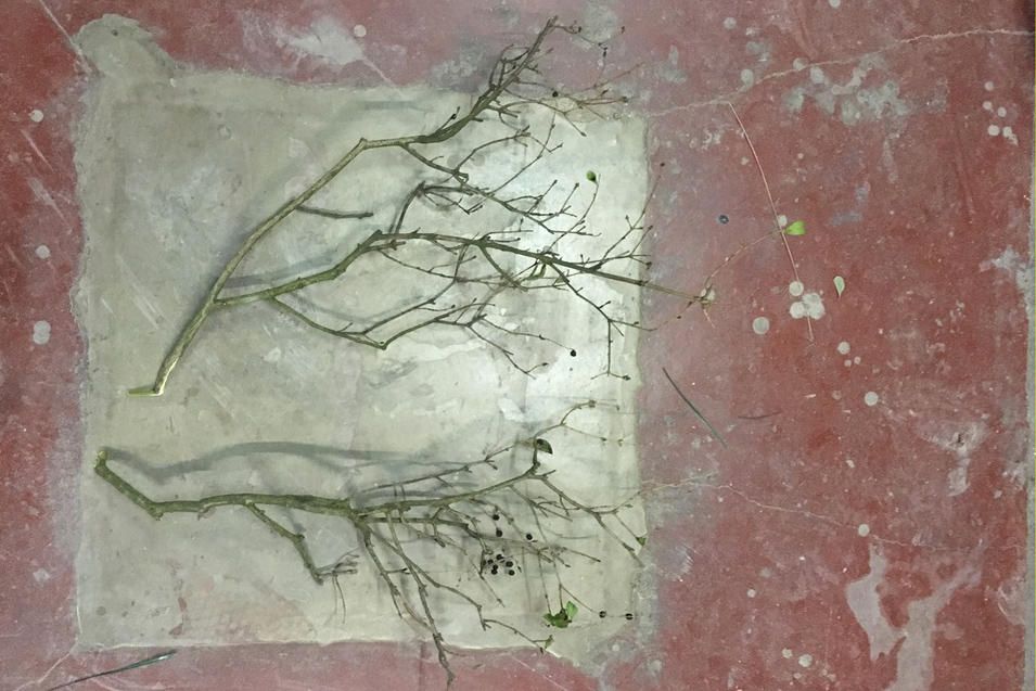 récupération de branches pour créer les arbres